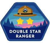 Salesforce Double Star Ranger Badge